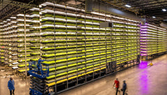 F.O.G - Future of Grow - X CLONE PRO 10