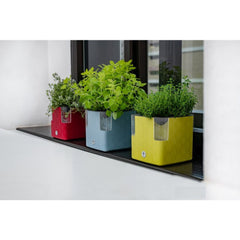 Plastkon Cobble Smart Planter Basil Green, 15x15x14 cm