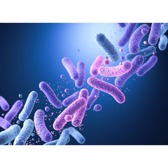 Bionova Living Soil, 220 g - (mehrsprachiges Etikett inkl. DE)