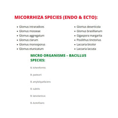 Bionova Living Soil, 220 g - (mehrsprachiges Etikett inkl. DE)