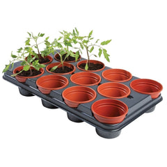 Garland Planting Plate with Pots Professional Growing Tray 12, 54x30.5x9.5 cm