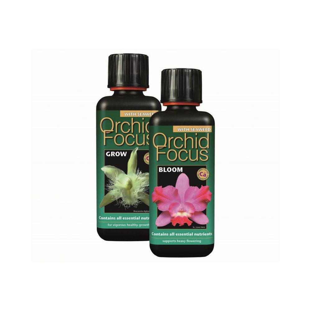 Growth Technology Orchid Focus Grow 300 ml on orchids