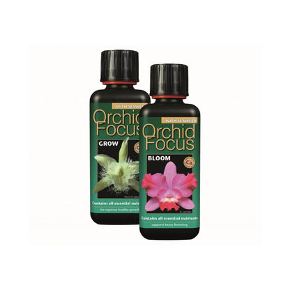 Growth Technology Orchid Focus Grow 300 ml auf Orchideen