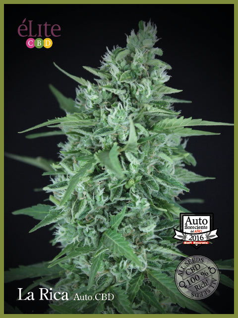 Elite Seeds La Rica CBD Auto Feminised Seeds