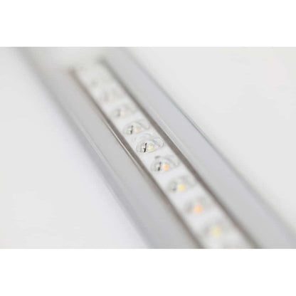 SANlight FLEX II LED 10W