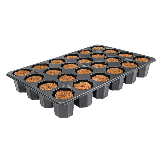 Root!t Dry Peat Free 24 Cell Filled Tray mit Pflanzgefäß, 29,5x19x4 cm