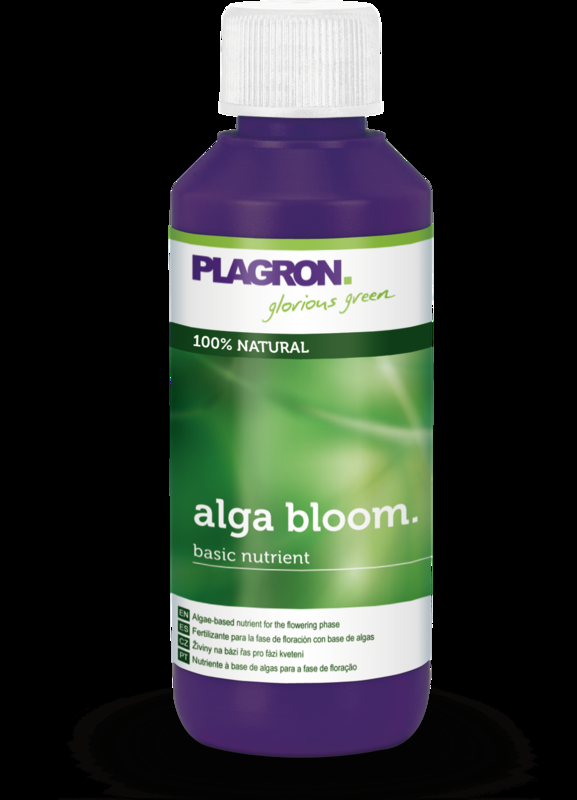 Plagron Alga Bloom 100 ml - (mehrsprachiges Etikett inkl. DE)