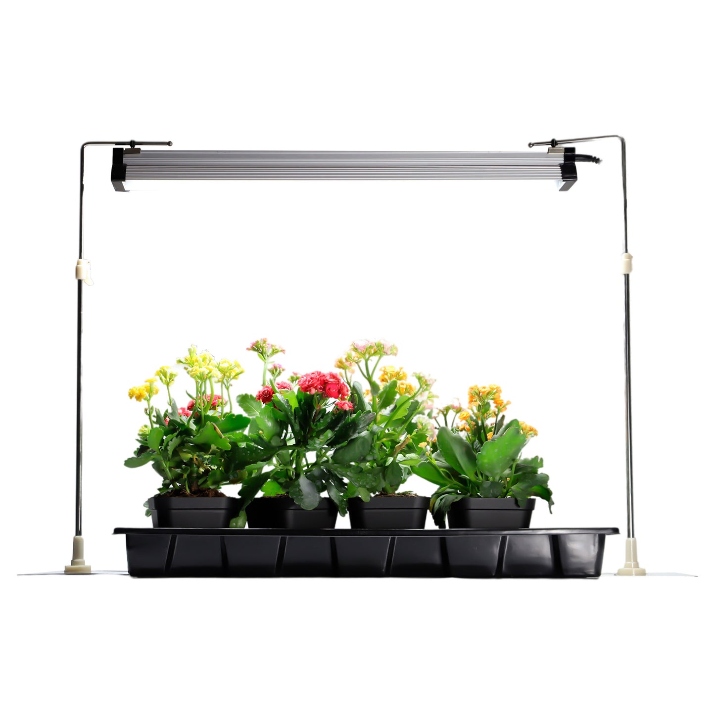 GENT G-LED 18W stand for 1 lamp