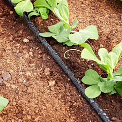 Irrigatia extension set for drip hose
