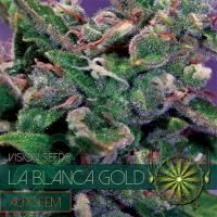 Vision Seeds La Blanca Gold Auto Feminised Seeds