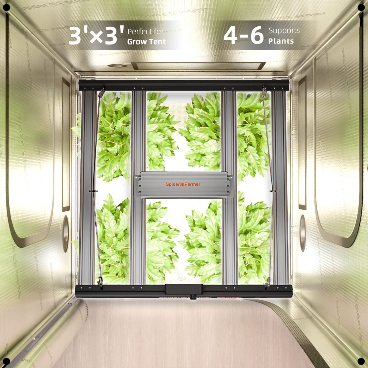 test product SF-G3000 2024