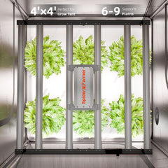 test product SF-G5000 2024