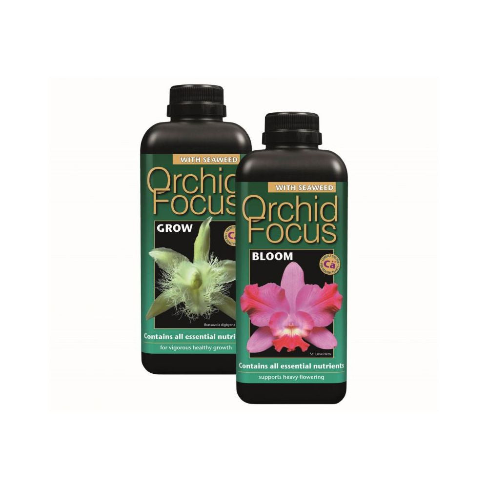 Growth Technology Orchid Focus Bloom 1 l