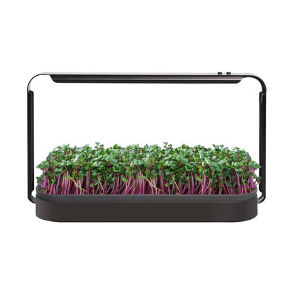 Urban LED 16W Mini Grow-Kit für Mikrogrün 6400K