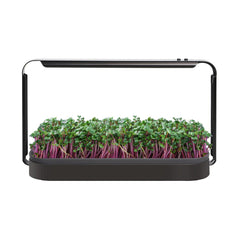 Urban LED 16W Mini Grow Kit for Microgreen 6400K