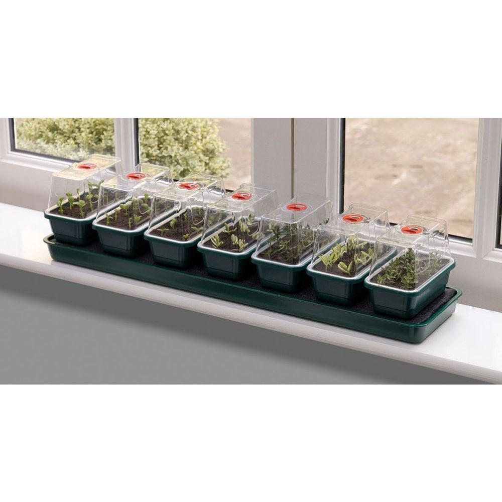 Garland Self Watering Propagator Super 7, 76x18.5x15 cm