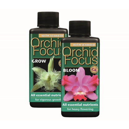 Growth Technology Orchid Focus Bloom 100 ml auf Orchideen