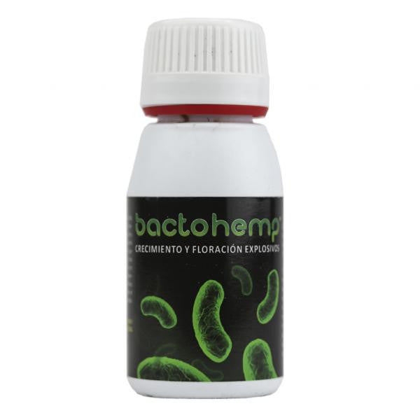 Agrobakterien Bactohemp, organisches Stimulans 50 g