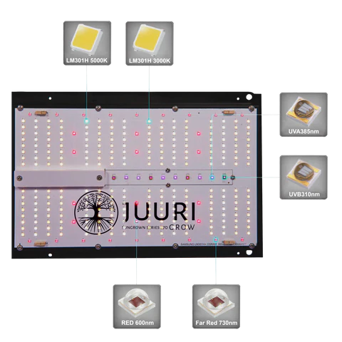 Juuri Grow - Sungrown Series 270W Grow LED