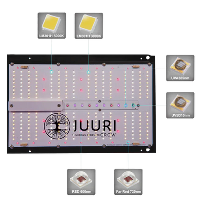 Juuri Grow - Sungrown Series 270W Grow LED