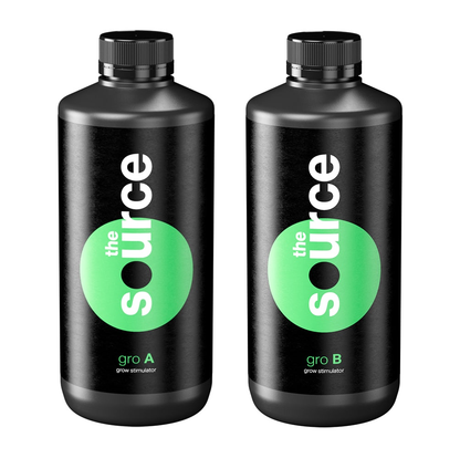 The Source Gro A+B 250 ml