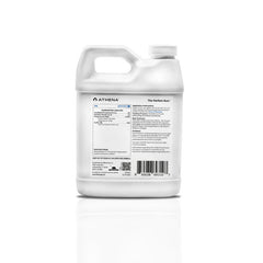 Athena Blended Line PK 950 ml (32 oz)