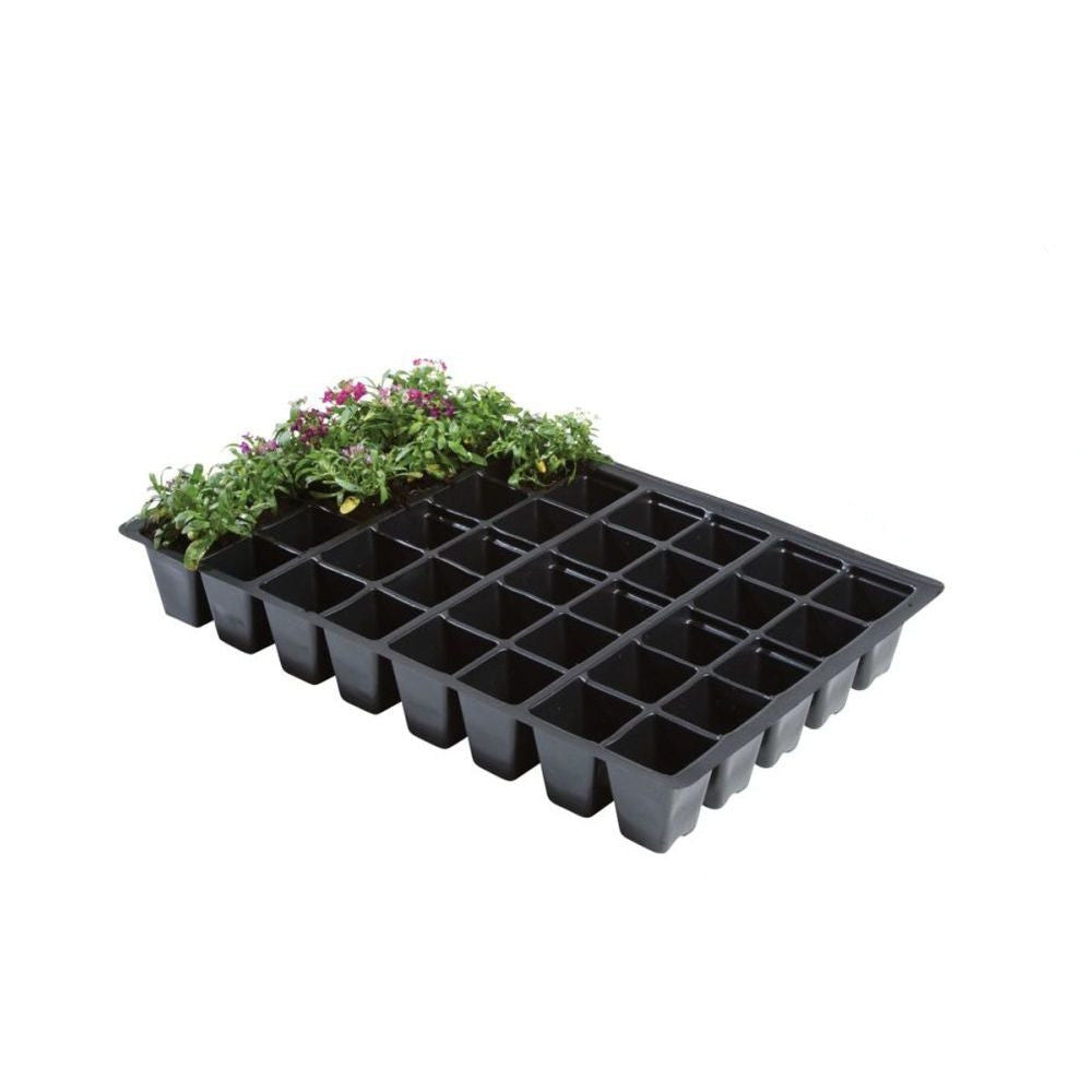 Garland Plant Plate 40, 35.5x23x5 cm, 5 pieces