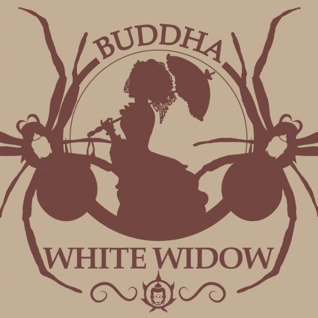 Buddha Seeds Buddha Classics White Widow Feminised Seeds