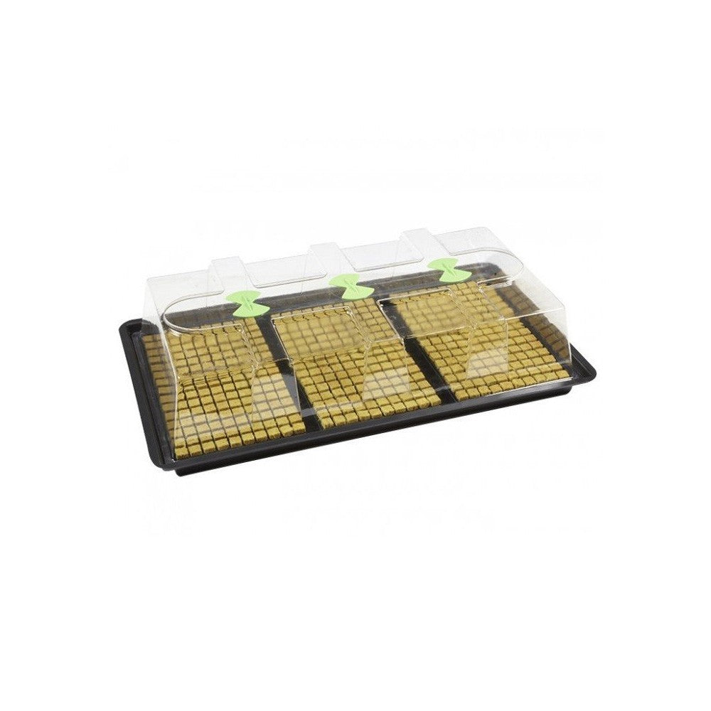 Nutriculture X-Stream Propagator L, Hartplastik, unbeheizt, 110.5x58.5x28 cm