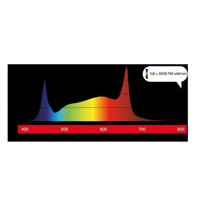 Maxibright Varidrive 720W LED und Varidrive Vorschaltgerät.