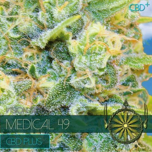 Vision Seeds Medical 49 CBD+ Feminised Seeds