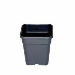 Wilma flowerpot plastic 18x18x23 cm - 6.5 l