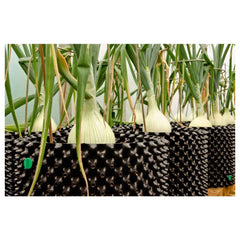 Air-Pot flowerpot plastic 5 l, 1 pc.