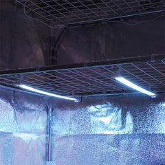 Secret Jardin Cosmorrow LED 20W x1, power supply