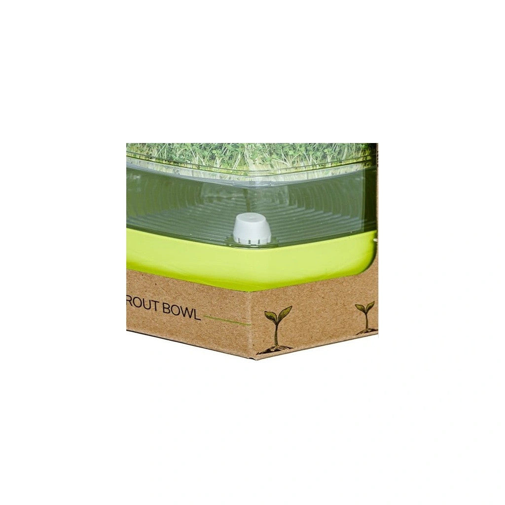 Replacement cap (plug) for Mungo germination tray