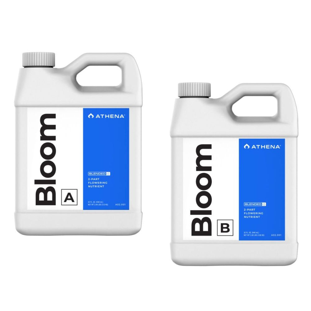 Athena Blended Line Bloom A+B 950 ml (32 oz)