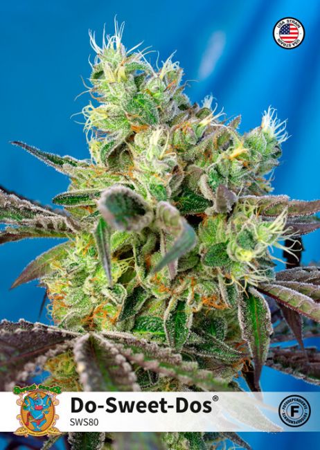 Sweet Seeds Do-Sweet-Dos Feminised Seeds