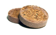 U Gro Plug 38 mm 1 piece, dehydrated coconut