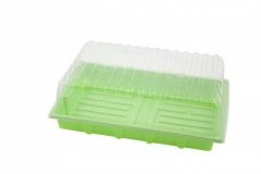HGA Garden Propagator 42, unheated, 38x24x13.5 cm, 3 pcs.