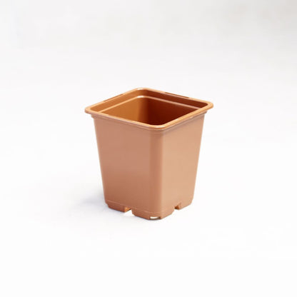 Blumentopf aus Plastik, viereckig terrakot 9x9x10 cm - 0.5 l, PACKUNG 100 Stk.