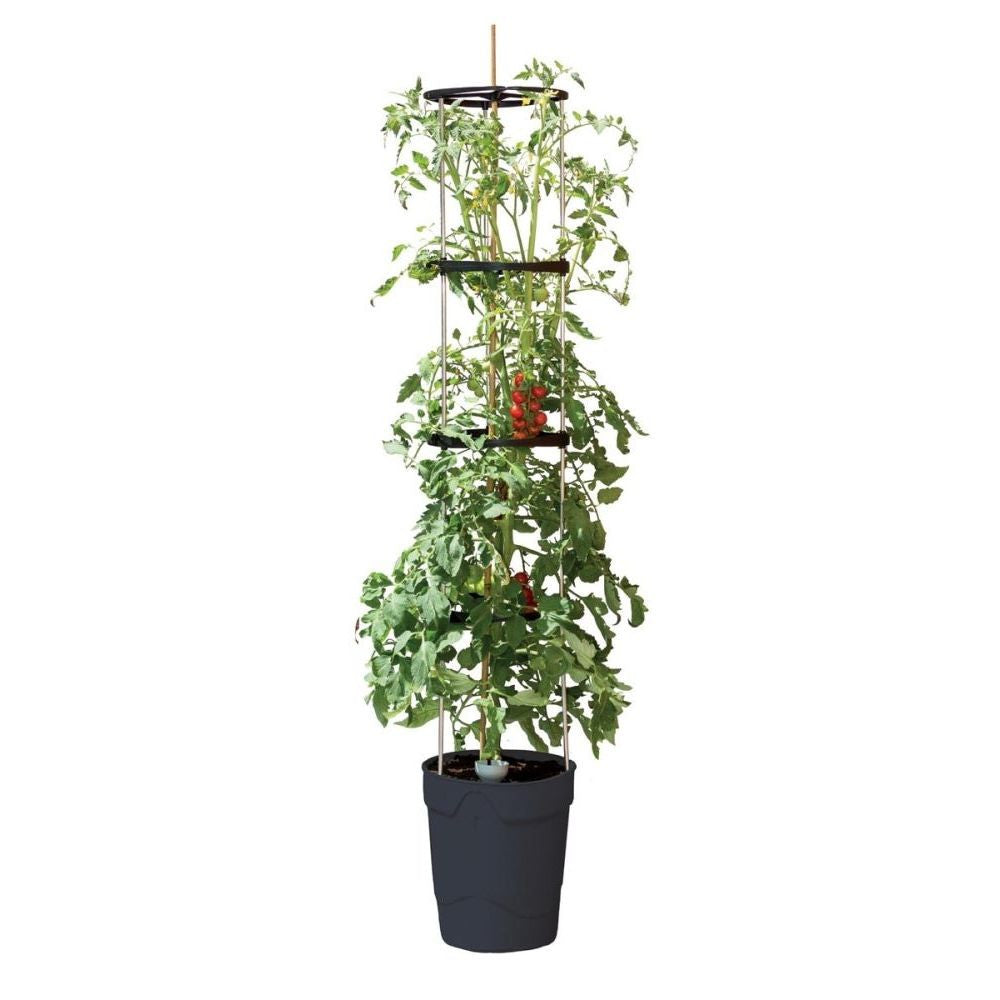 Garland Self Watering Grow Pot Tower Anthrazit