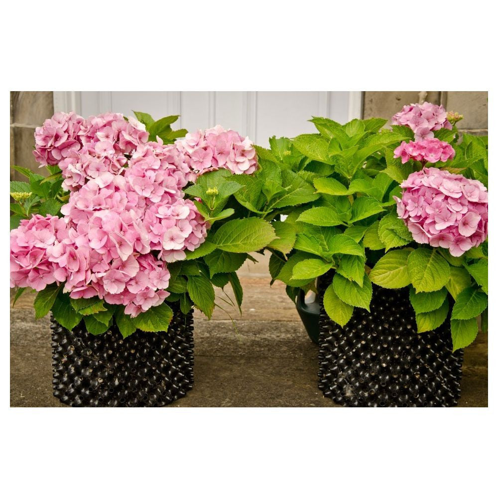 Air-Pot flowerpot plastic 5 l, 1 pc.