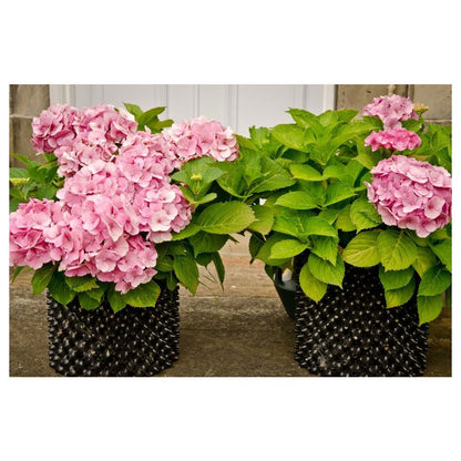 Air-Pot flowerpot plastic 12.5 l, 1 pc.