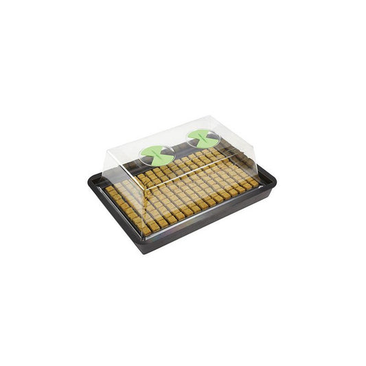 Nutriculture X-Stream Propagator S, Hartplastik, unbeheizt, 61x41x27 cm