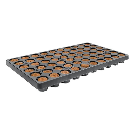 Root!t Dry Peat Free 60 Cell Filled Tray mit Pflanzgefäß, 52x30x4 cm