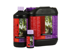 Atami B'Cuzz Coco Booster 5 l