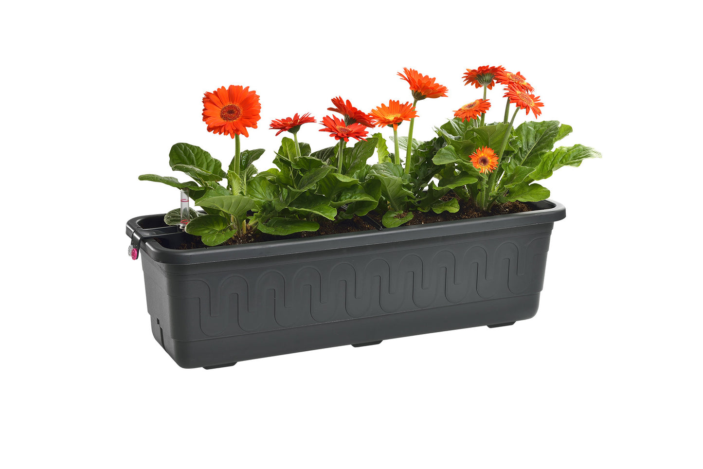 Selbstbewässernder Blumentopf Fantasie SMART, Länge 100cm Anthrazit