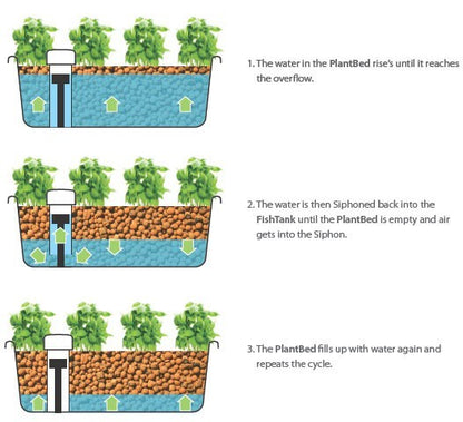 FishPlant Aquaponics Production Unit