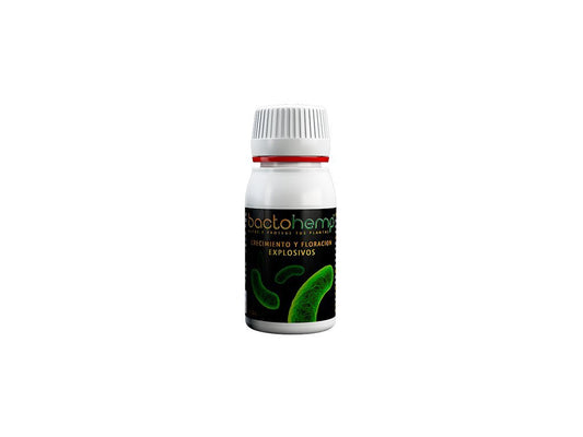 Bactohemp - organischer Stimulans 10g