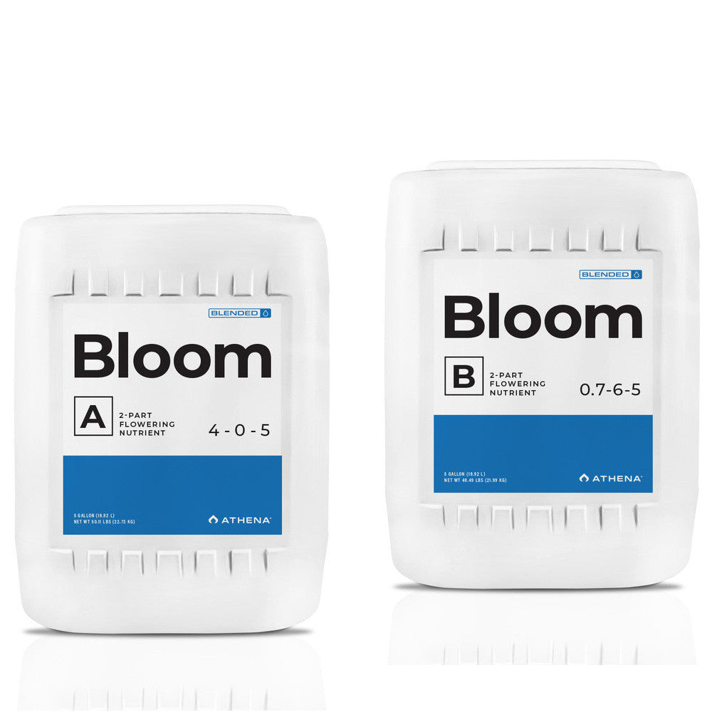 Athena Blended Line Bloom A+B 18.9 l (5 gal)